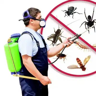 pest control Marine on St. Croix